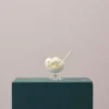 CASA ALASKA Coppe Per Gelato Trasparente- Ciotole
