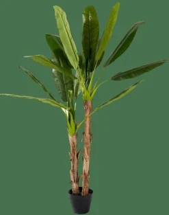 CASA BANANA Banano Verde- Piante Artificiali