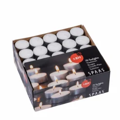 CASA BIRCH Partylight Naturale- Portalumini|Halloween