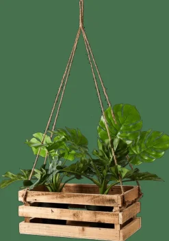 CASA CRATE Cassa Naturale- Cassette
