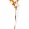 CASA DANDIL Stelo Arancione- Fiori Artificiali|Autunno