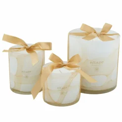 CASA ESCAPE SENSES Cand. Prof. In Vaso Multicolore- Candele Profumate|Candele