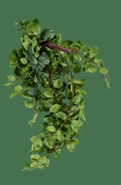 CASA FITTONIA Ghirlanda Di Foglie Verde- Piante Artificiali|Rami Artificiali