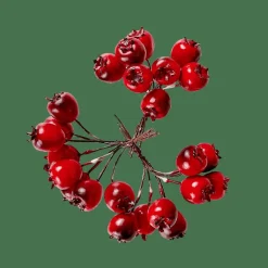 CASA FOAM Decorazione Cinorrodo Rosso- Rami Artificiali