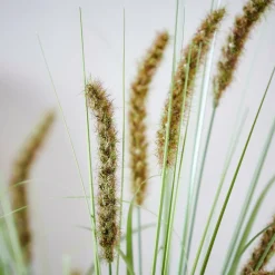 CASA GRASS Mazzo Di Erba Rosso- Rami Artificiali