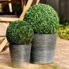 CASA GREEN Palla Di Bosso Artificiale Verde- Piante Artificiali