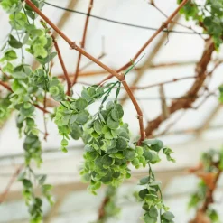 CASA GREEN Ramo Artificiale Verde- Rami Artificiali