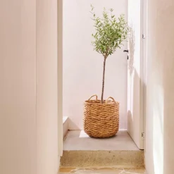 CASA JONI Cesta Naturale- Cesti Portatutto