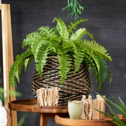 CASA METAL Scaletta Nero- Portavasi Sospesi|Decorazioni Da Giardino