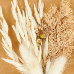 CASA MIA Decorazioni Secche Beige- Rami Artificiali