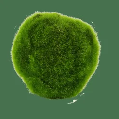 CASA MOSS Sfera Di Muschio Verde- Piante Artificiali