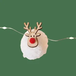 CASA OH DEER Filo Luminoso Con 20 Luci Led Bianco- Fili Luminosi