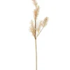 CASA PAMPA Pampas Bianco- Rami Artificiali|Autunno