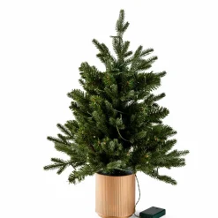CASA PINUS Ramoscello Natalizio Rosso, Verde- Rami Artificiali