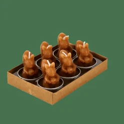 CASA SQUIRREL Lumini Set Di 6 Marrone- Portalumini|Autunno