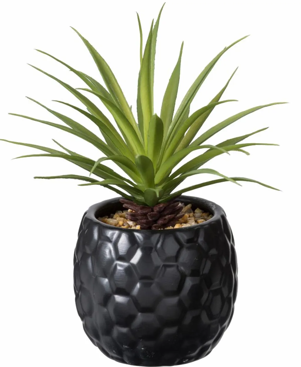 CASA STAGGY Soprammobile Naturale- Figurine Decorative