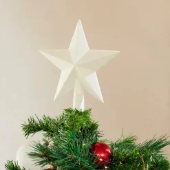 CASA STAR Decorazioni Secche- Fiori Artificiali