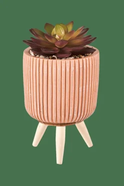 CASA STRIPE Succulente Finto In Vaso Multicolore- Piante Artificiali