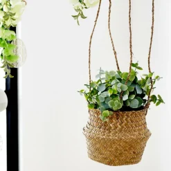 CASA TERRA Pianta In Vaso Bianco, Verde- Piante Artificiali