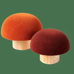 CASA VELVET Fungo Naturale, Multicolore- Autunno